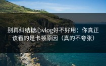别再纠结糖心vlog好不好用：你真正该看的是卡顿原因（真的不夸张）