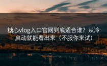糖心vlog入口官网到底适合谁？从冷启动就能看出来（不服你来试）