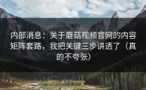 内部消息：关于蘑菇视频官网的内容矩阵套路，我把关键三步讲透了（真的不夸张）