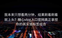 我本来只想看两分钟，结果刷着刷着就上头？糖心vlog入口官网真正拿捏你的其实是标签组合