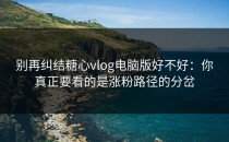 别再纠结糖心vlog电脑版好不好：你真正要看的是涨粉路径的分岔