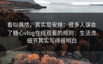 看似偶然，其实是安排：很多人误会了糖心vlog在线观看的规则：生活流细节其实写得很明白