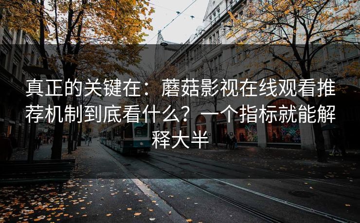 真正的关键在：蘑菇影视在线观看推荐机制到底看什么？一个指标就能解释大半